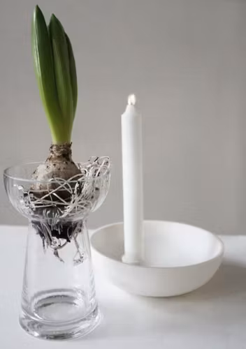 KULLTORP, hyacintvas