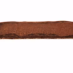 For the Best Employees in the World!