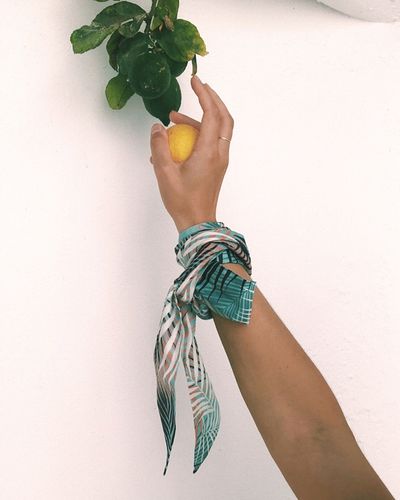 Palm leaf Twilly AQUA