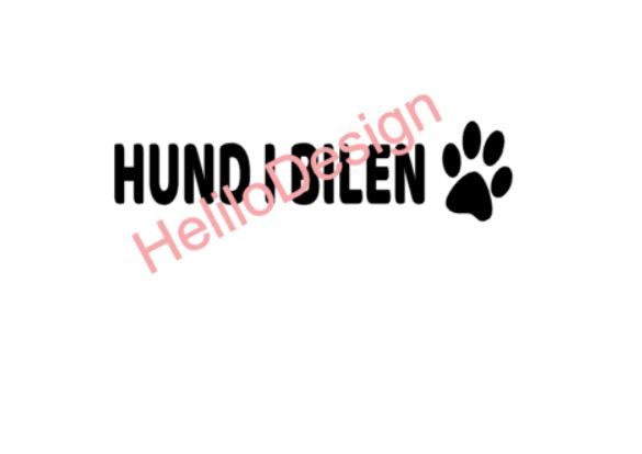 BILDEKAL, HUND I BILEN