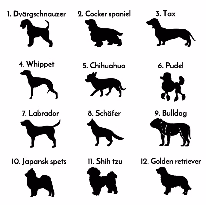 DEKAL, RÄDDA MIG VID FARA (välj hundras)