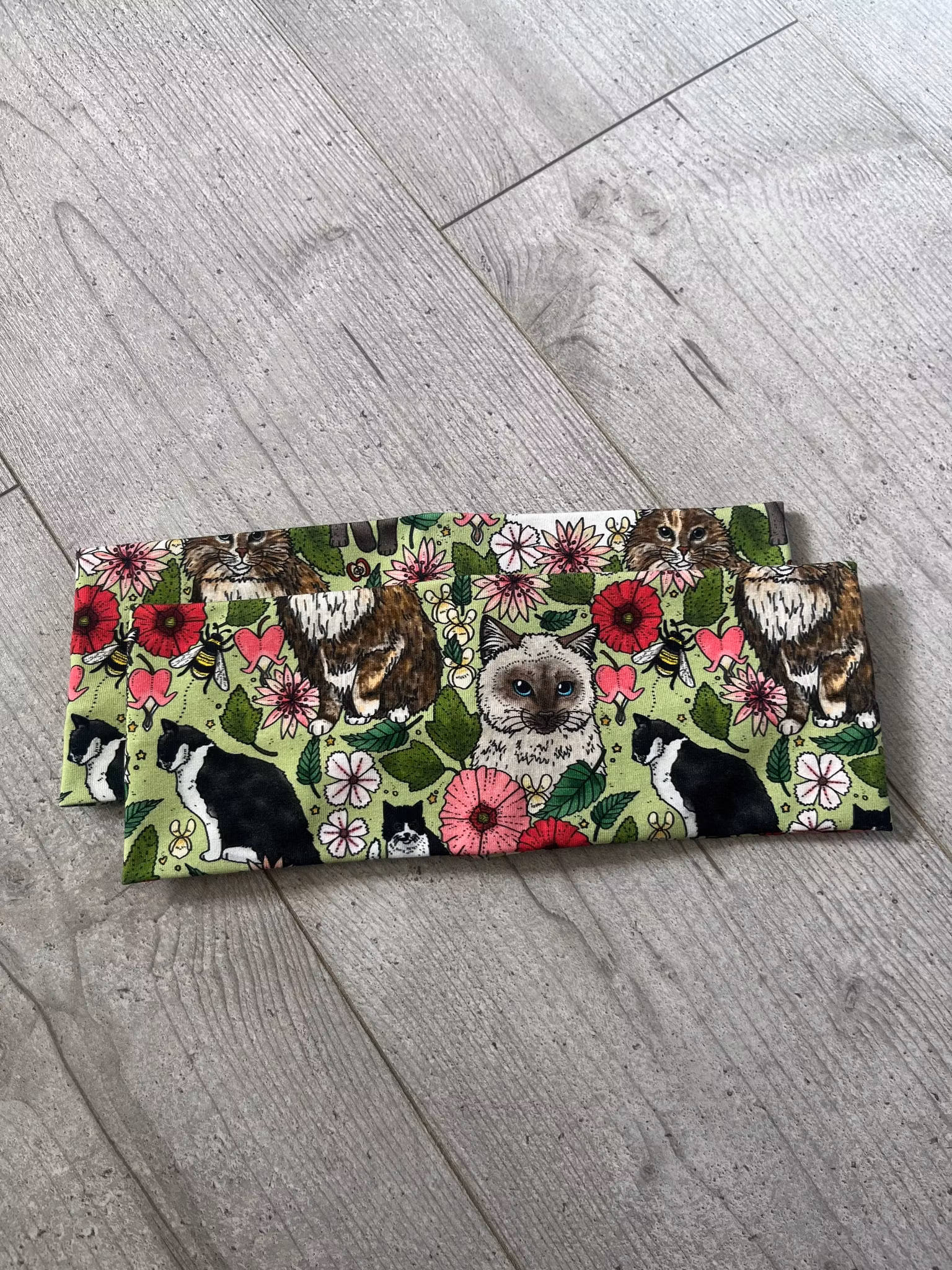 PANNBAND, KATTER