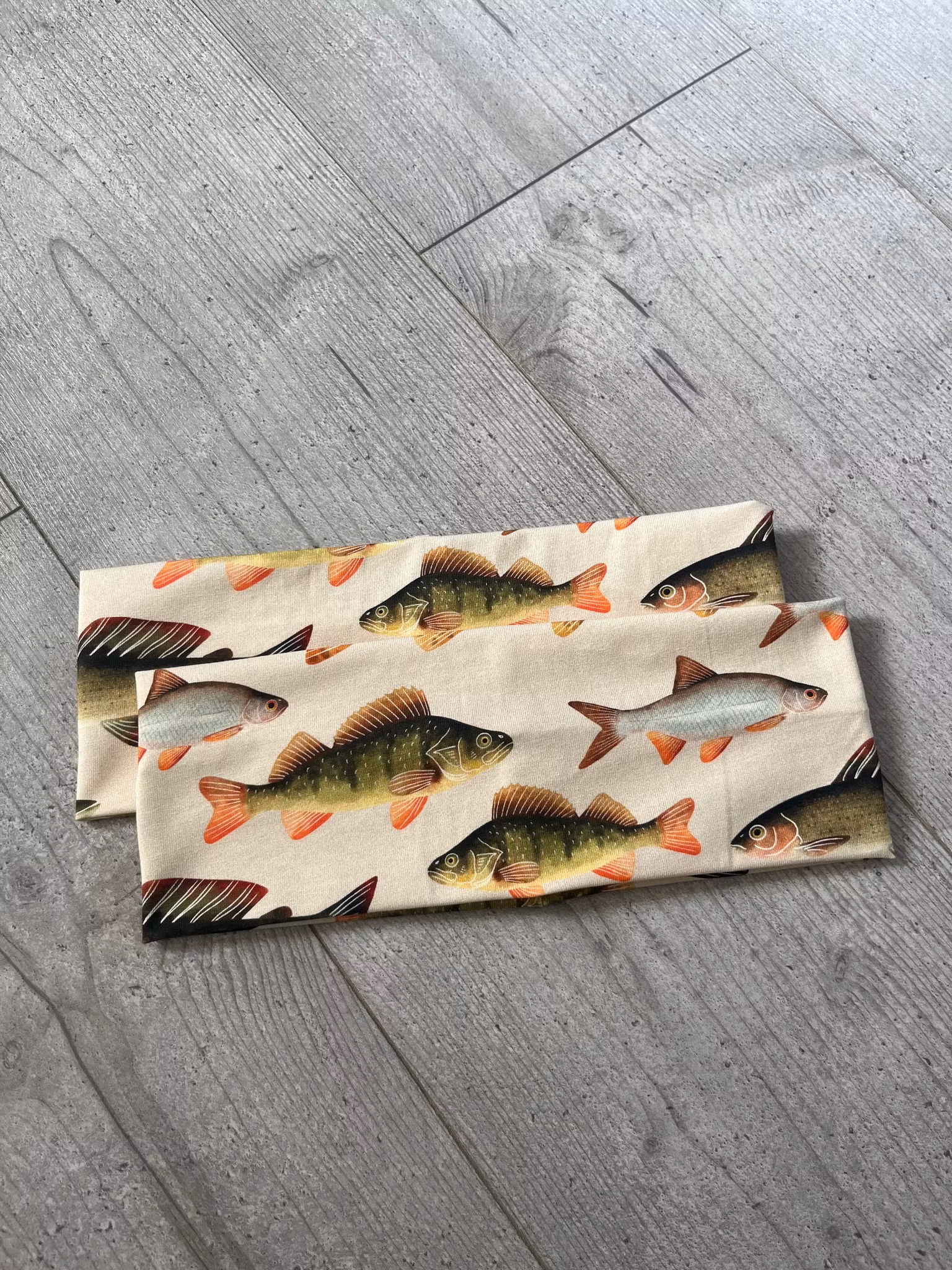 PANNBAND, FISKAR