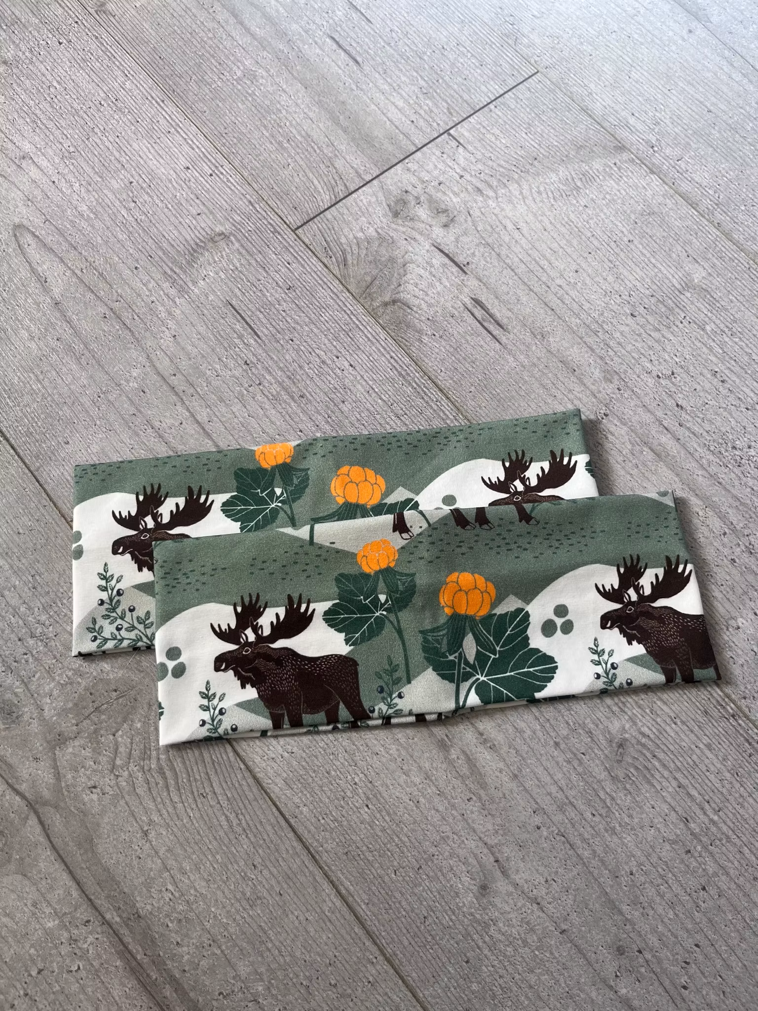 PANNBAND, ÄLGSKOGEN