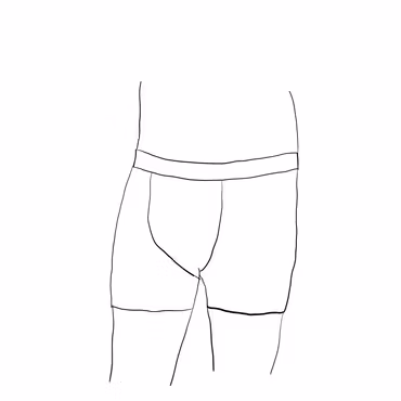 Boxer herr