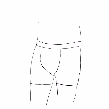 Boxer herr