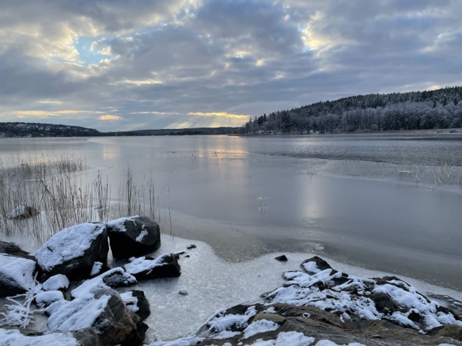 Räkmackan