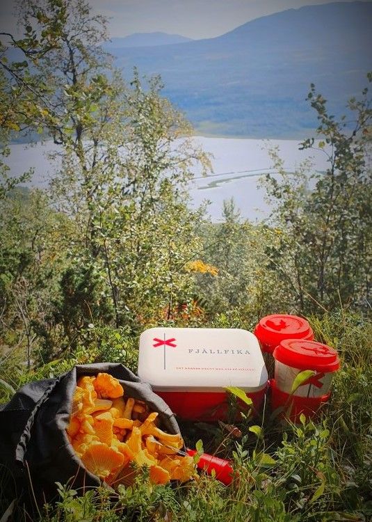 Fjällfika mugg i ekologisk bambu