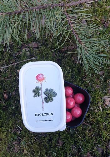 Mellislåda hjortron