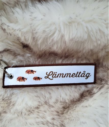 Tagg/nyckelring  Lämmeltåg