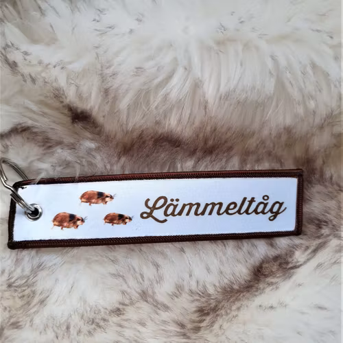 Tagg/nyckelring  Lämmeltåg