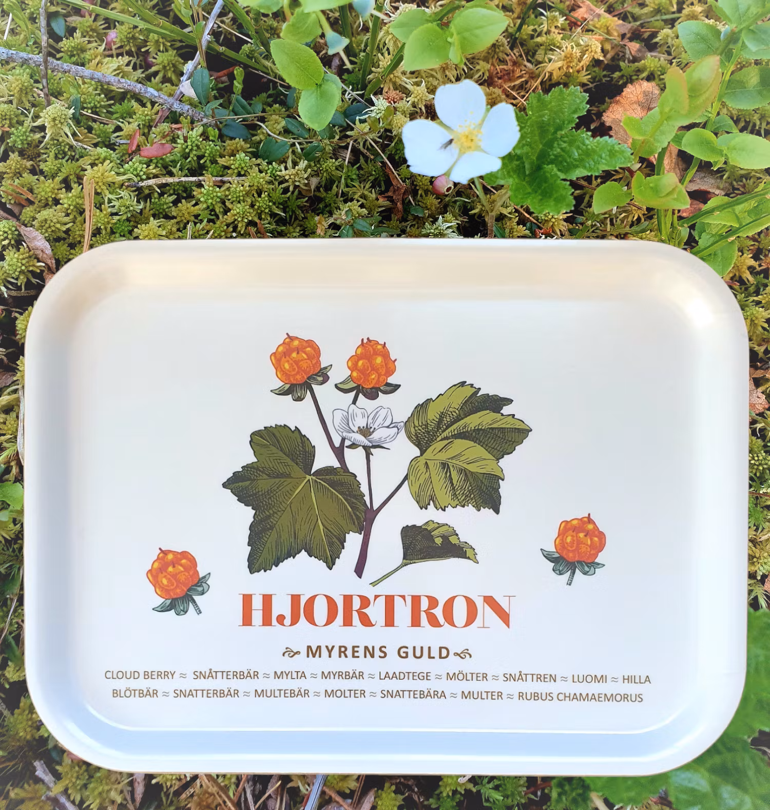 Bricka Hjortron