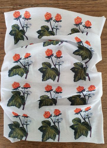 Bandana Hjortron