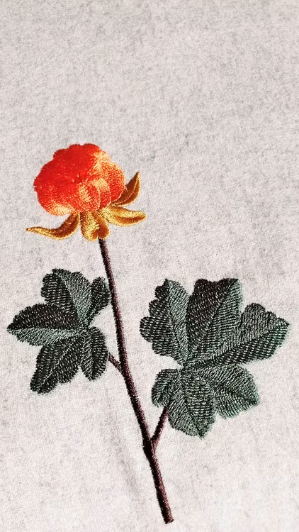 Ullkuddsfodral med broderat hjortron