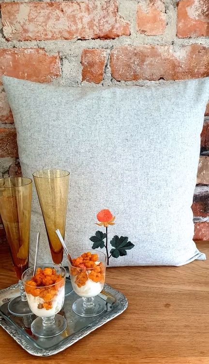 Ullkuddsfodral med broderat hjortron
