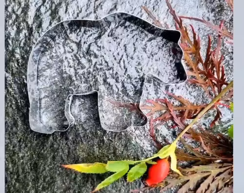 Björn Pepparkaksform