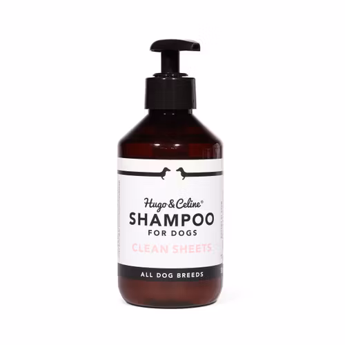 CLEAN SHEETS SHAMPOO