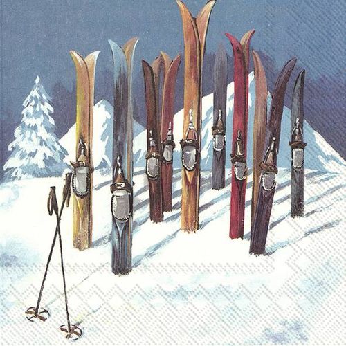 Servetter Skidor