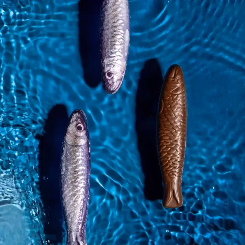 Chokladsardiner i burk