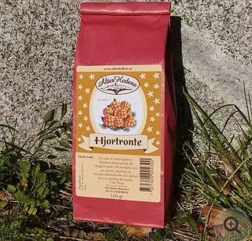 Hjortronté