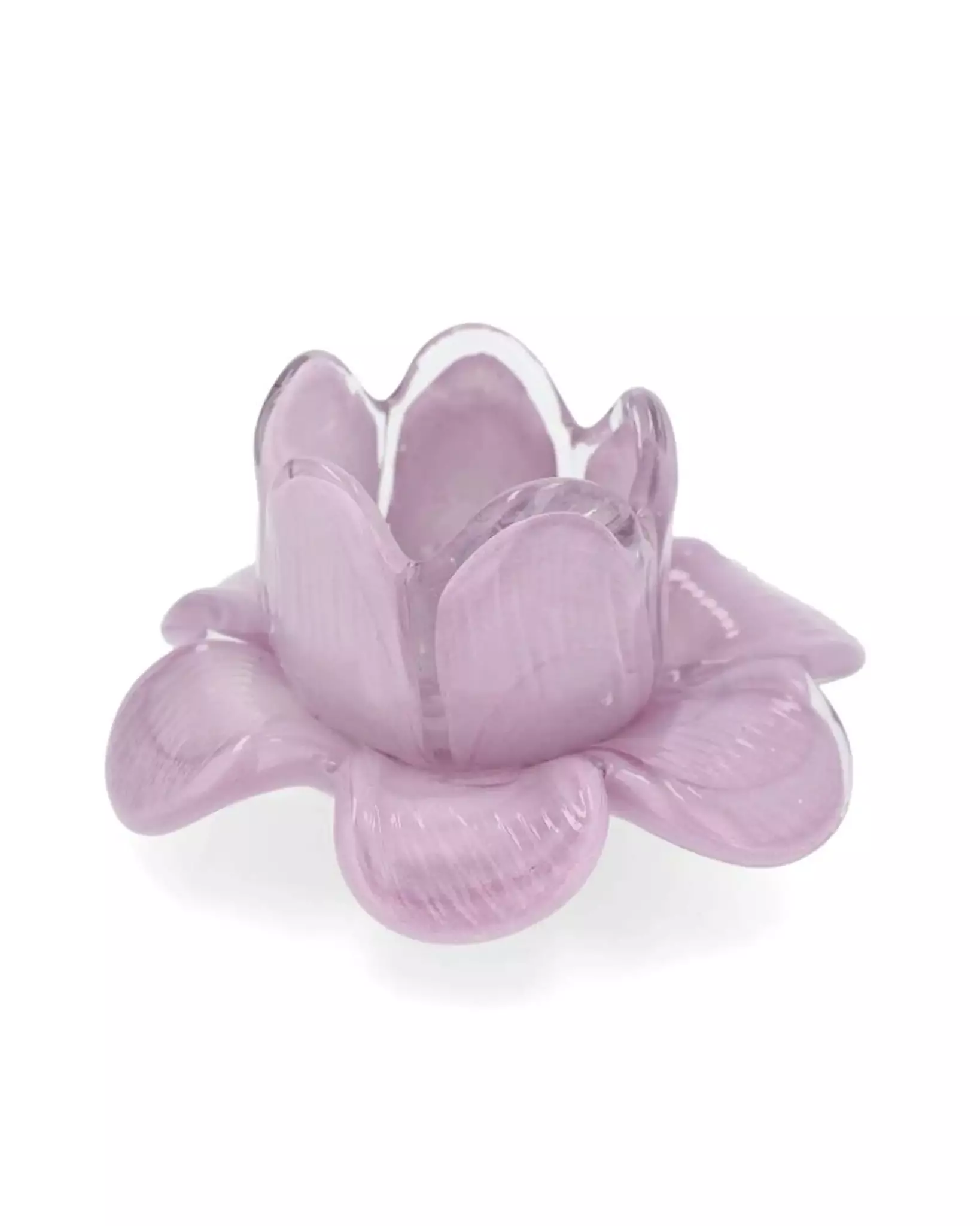 Ljuslykta lila blomma i glas