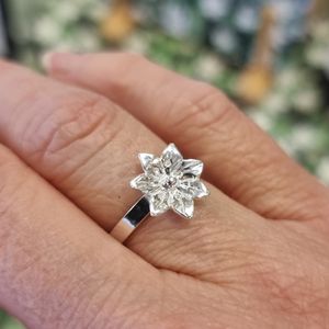 Ring Skogsstjärna