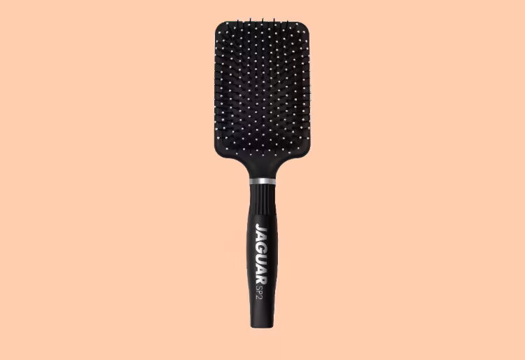Sp 2 shine paddelborste jaguar solingen