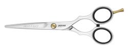 Ergo P Slice