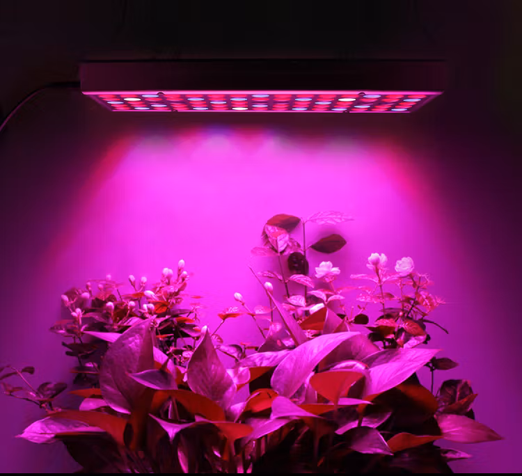 Växtlampa HL25 LED
