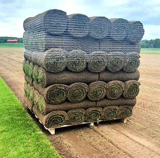 Rullgräs Gräsmatta - Färsk färdig gräsmatta