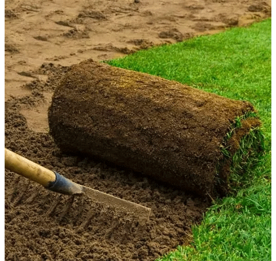 Rullgräs Gräsmatta - Färsk färdig gräsmatta