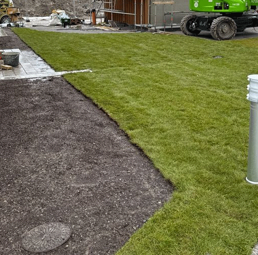 Rullgräs Gräsmatta - Färsk färdig gräsmatta