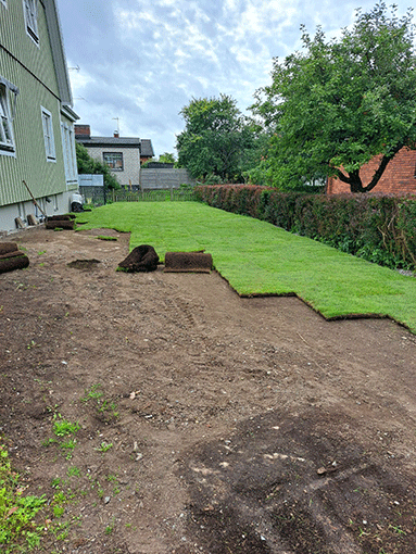 Rullgräs Gräsmatta - Färsk färdig gräsmatta