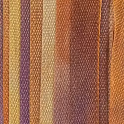 Sidenband 4mm Strelitzia 68B