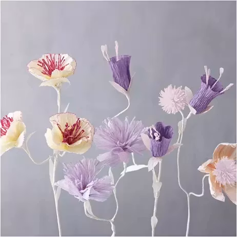 Kräppapper lila & rosa 8-p