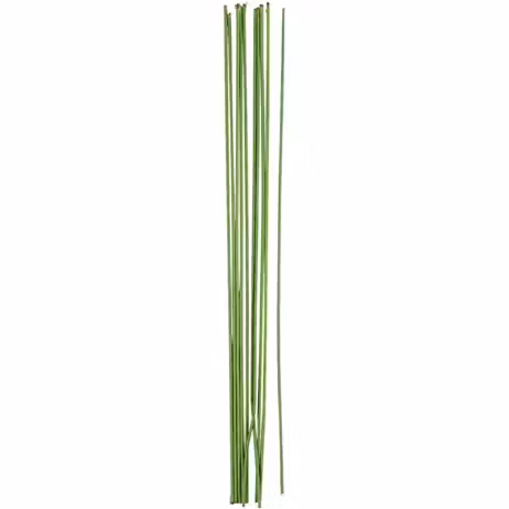 Blomstjälkar grövre 20-p