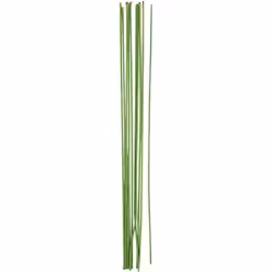 Blomstjälkar grövre 20-p
