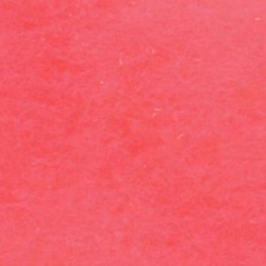 Kardflor rosa