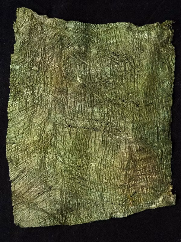 Mullbärsbark olivgrön