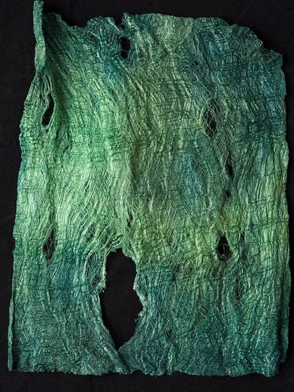 Mullbärsbark ljusgrön