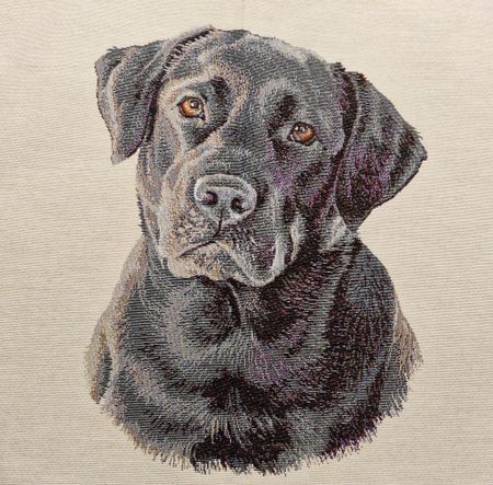 Labrador