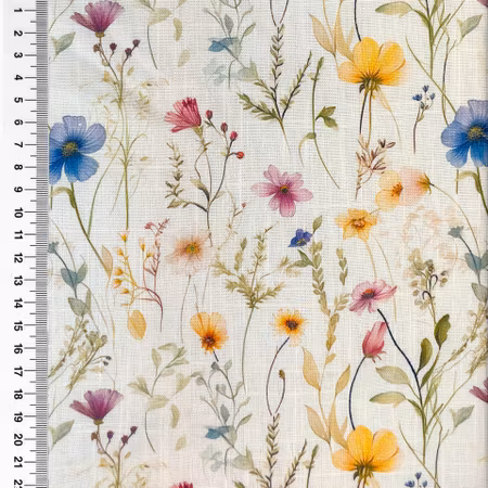 Linneviskos sommaräng