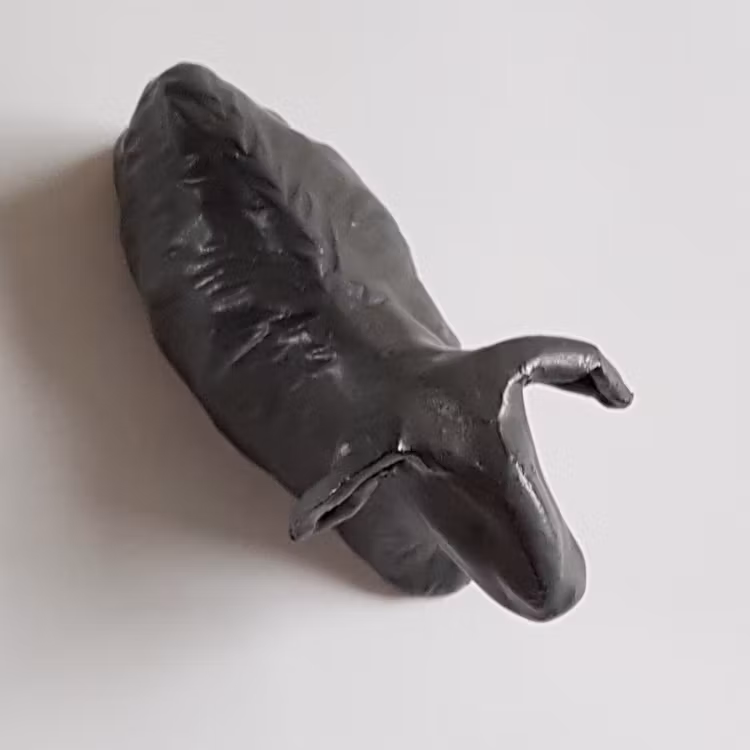 Får / Lamm i Serien Svart Granit