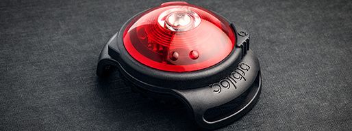 Orbiloc Buckle