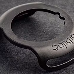 Orbiloc Buckle