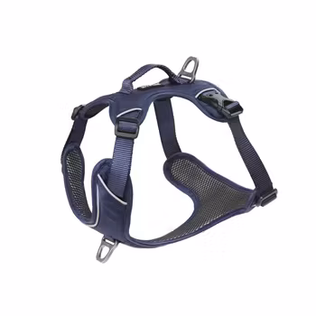 Kyflie Momentum Harness Navy Blue