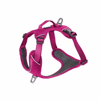 Kyflie Momentum Harness Pink