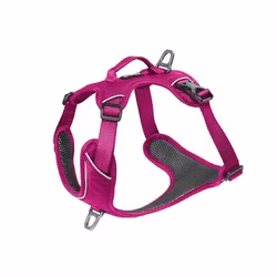 Kyflie Momentum Harness Pink