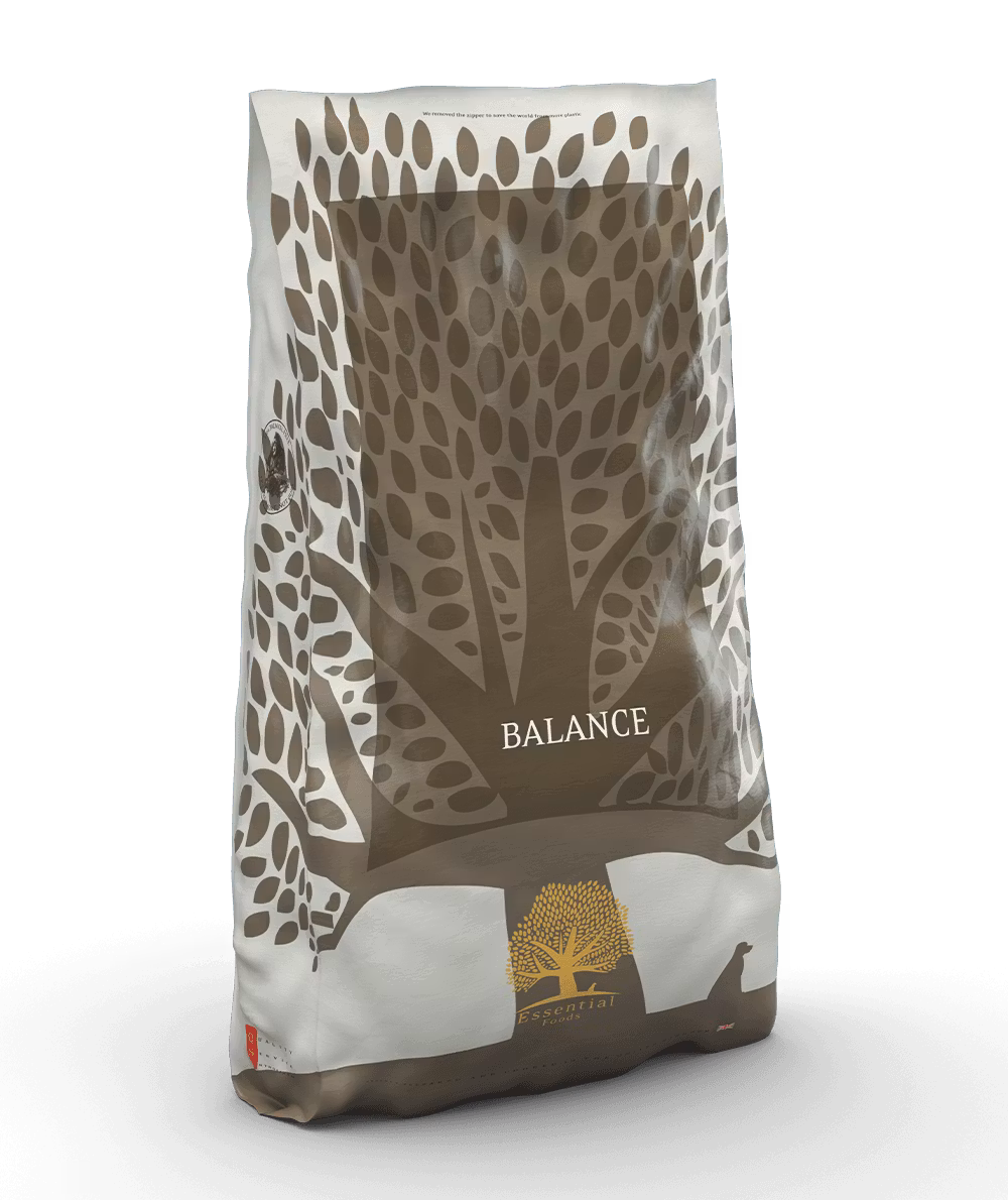 Balance