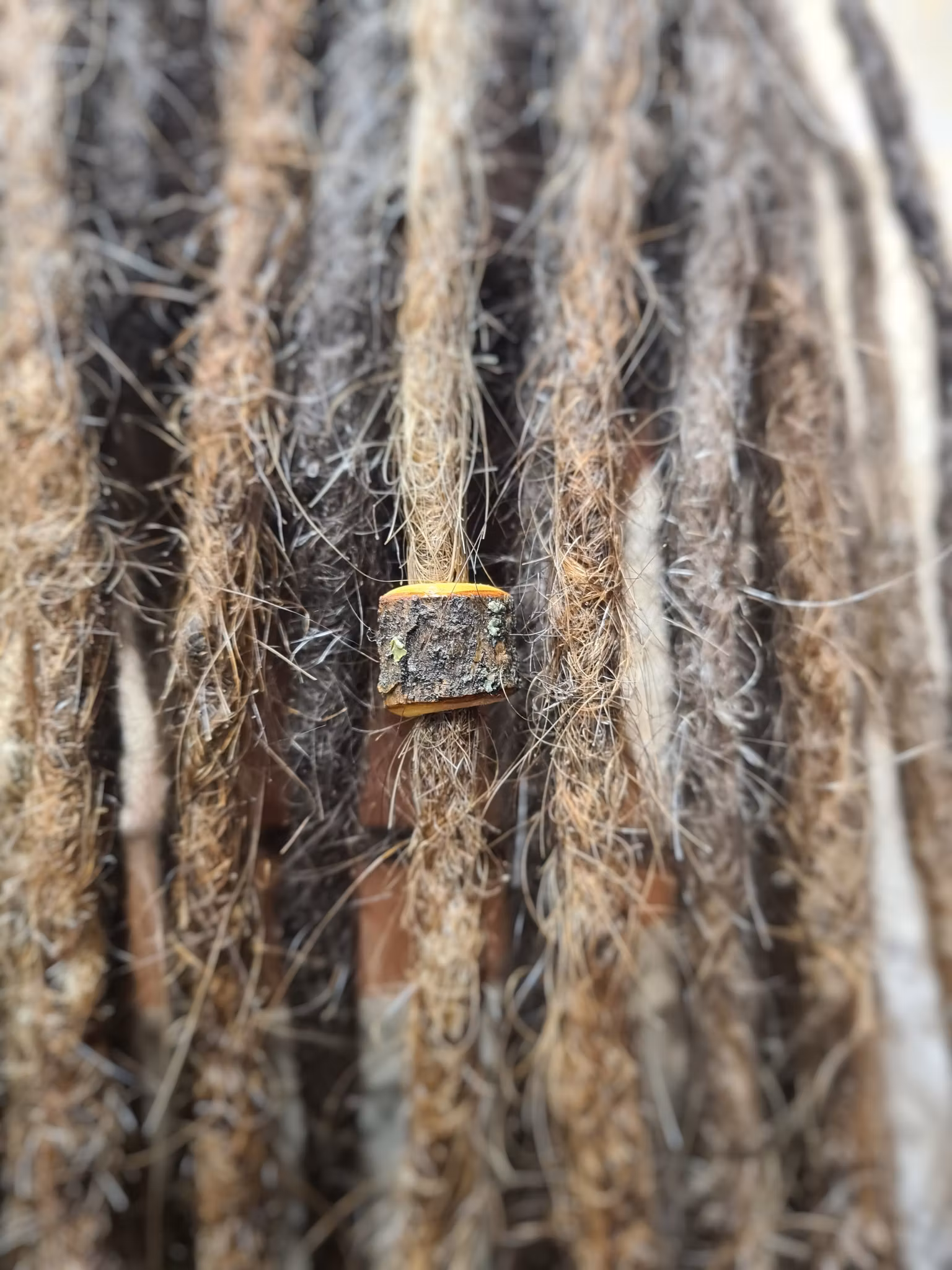 "Trä Pärla" - Trädekoration till dreads (6mm hål)